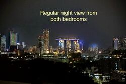 Cairnhill Crest (D9), Condominium #610284121